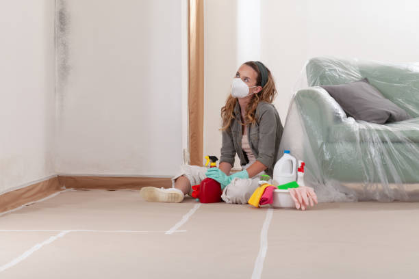 Reliable Mold Remediation contractor in Benson, NC by Mold Remediation HQ